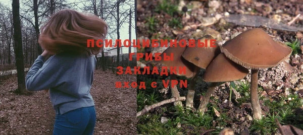 прущие грибы Алексеевка