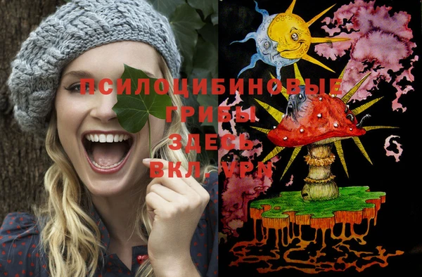 прущие грибы Алексеевка