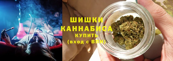 прущие грибы Алексеевка