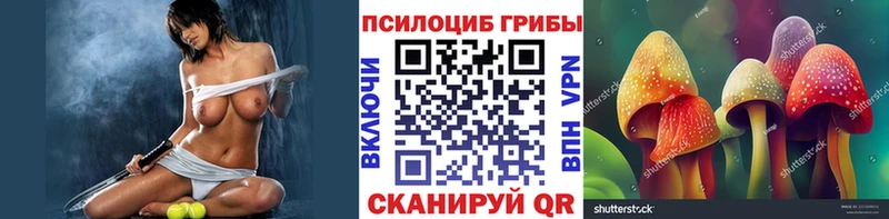 hydra   наркотики  Сенгилей  Псилоцибиновые грибы Psilocybine cubensis 